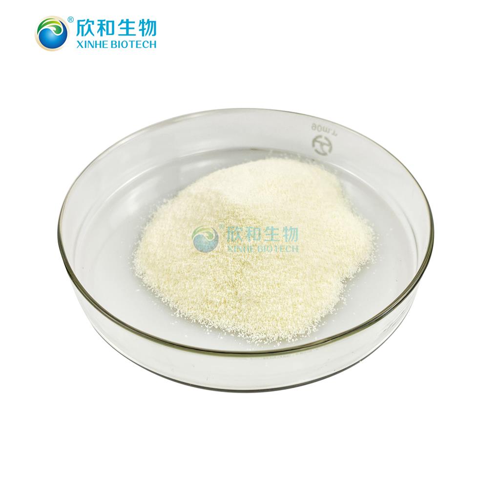 花生四烯酸粉末  10% ARA粉末 欣和生物源头厂家