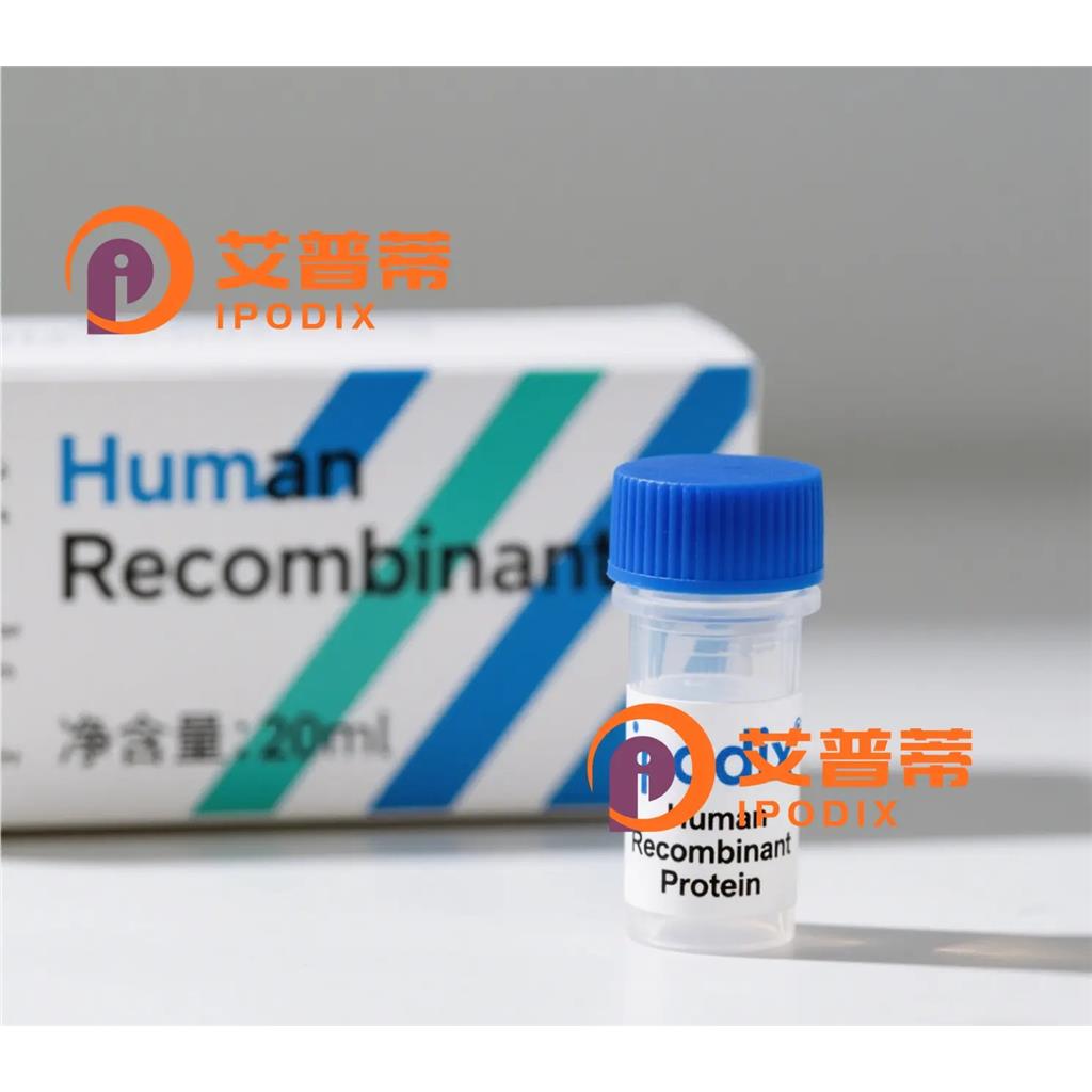 PCDH9抗体