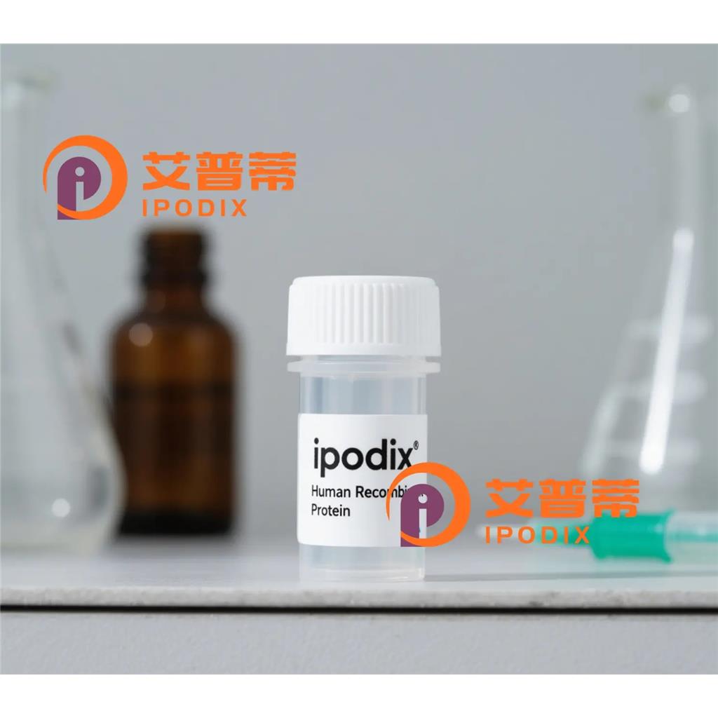 ATG4C抗体
