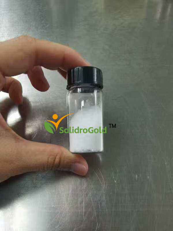 发酵高纯99%含量红景天苷