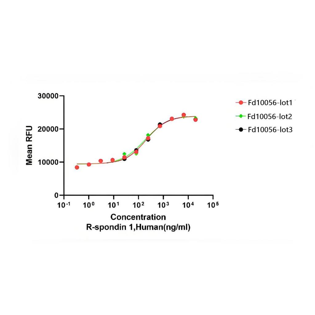 Recombinant Human R-Spondin1重组人R-Spondin1蛋白