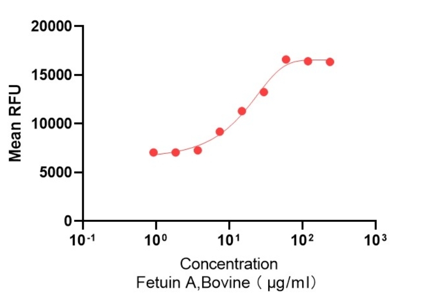 ?Recombinant Bovine Fetuin A 重组牛胎球蛋白A