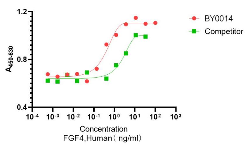 Recombinant Human FGF-4重组人成纤维细胞生长因子4