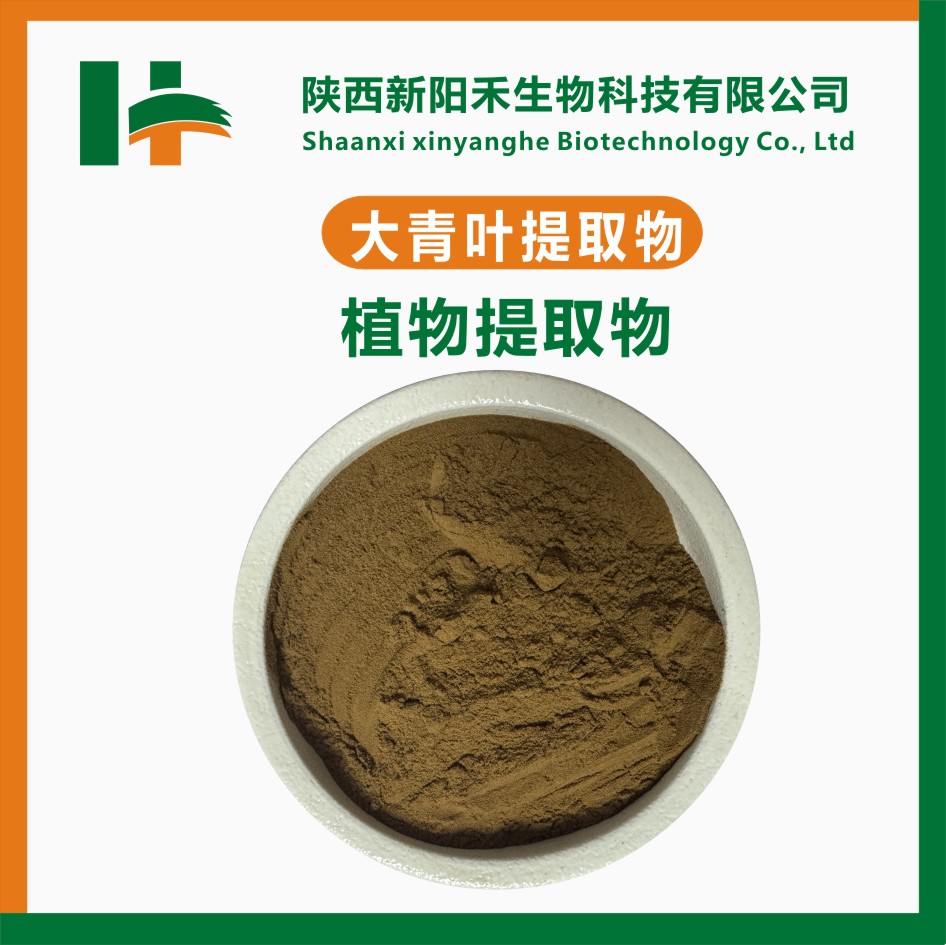 大青叶提取物