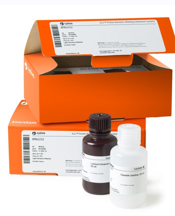 ECL Prime增强型化学发光法Western Blotting检测试剂