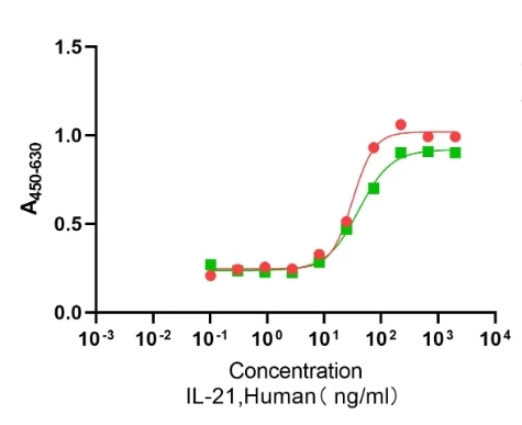 Recombinant Human IL-21重组人白介素-21