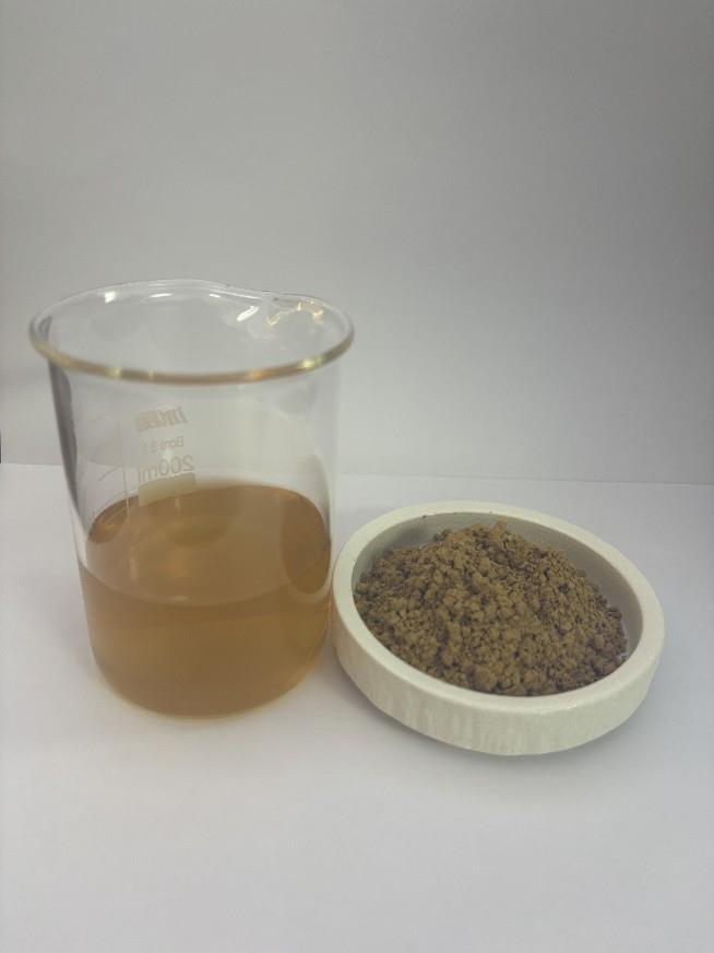 赤芍2.jpg 赤芍2.jpg