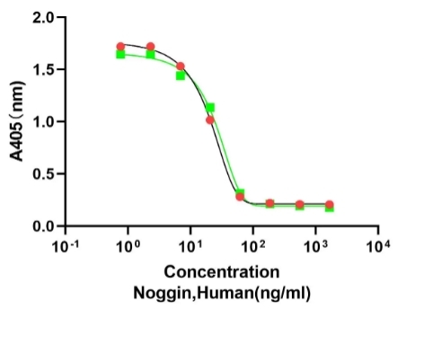 Recombinant Human Noggin 重组人Noggin蛋白