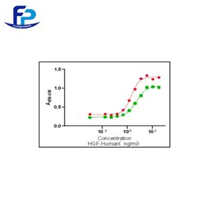 Recombinant Human HGF重组人肝细胞生长因子