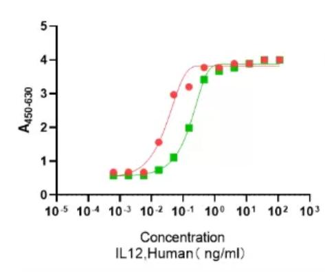 Recombinant Human IL-12重组人白介素-12