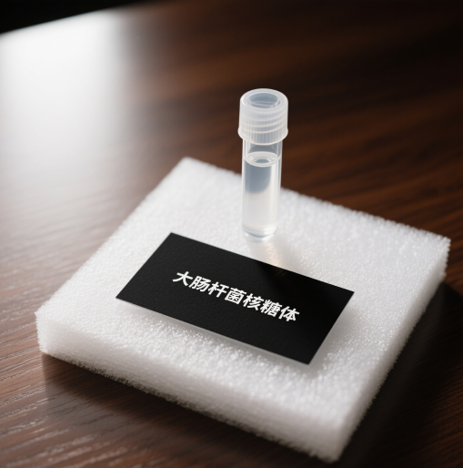 大肠杆菌核糖体（Escherichia coli Ribosome）