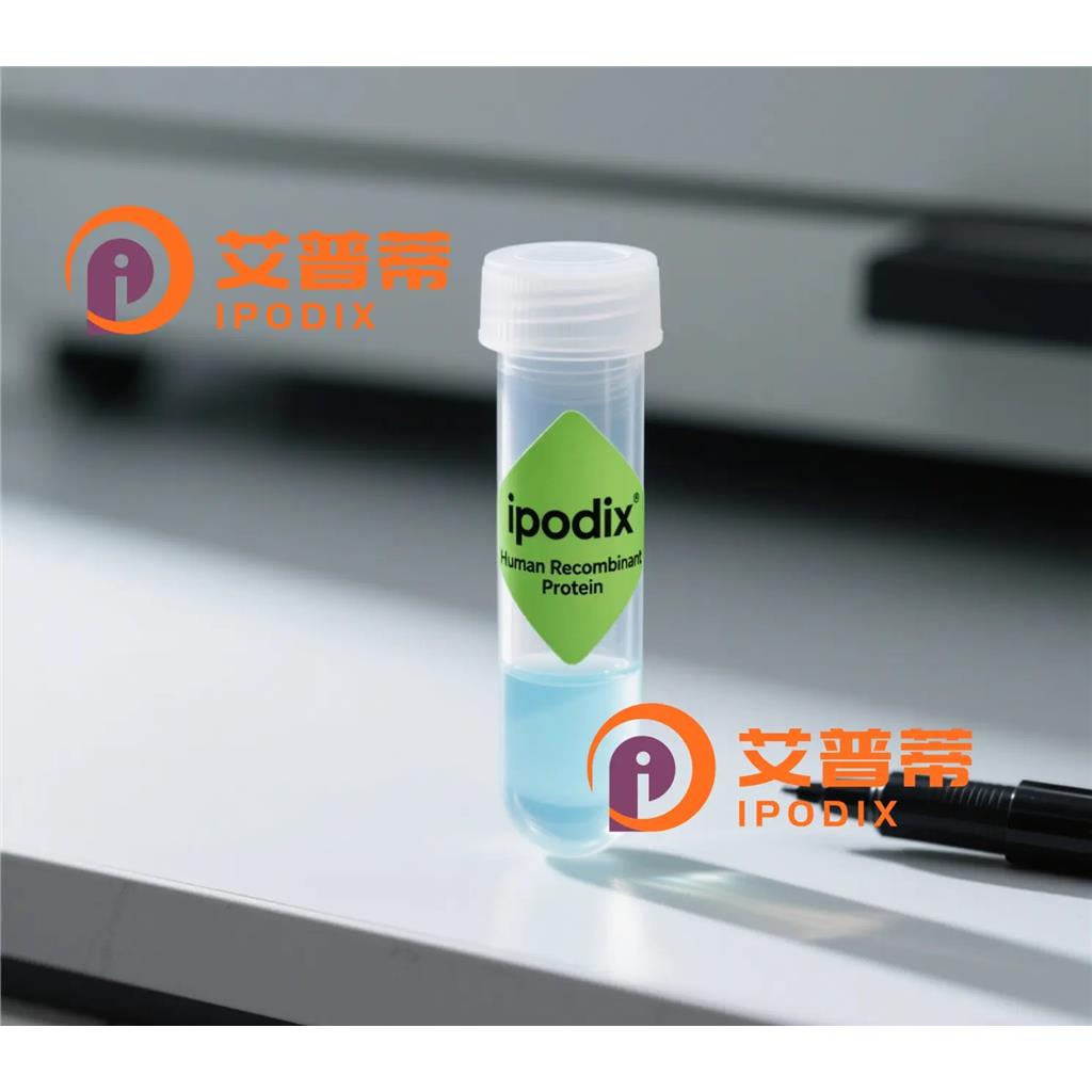 PMP2抗体—艾普蒂