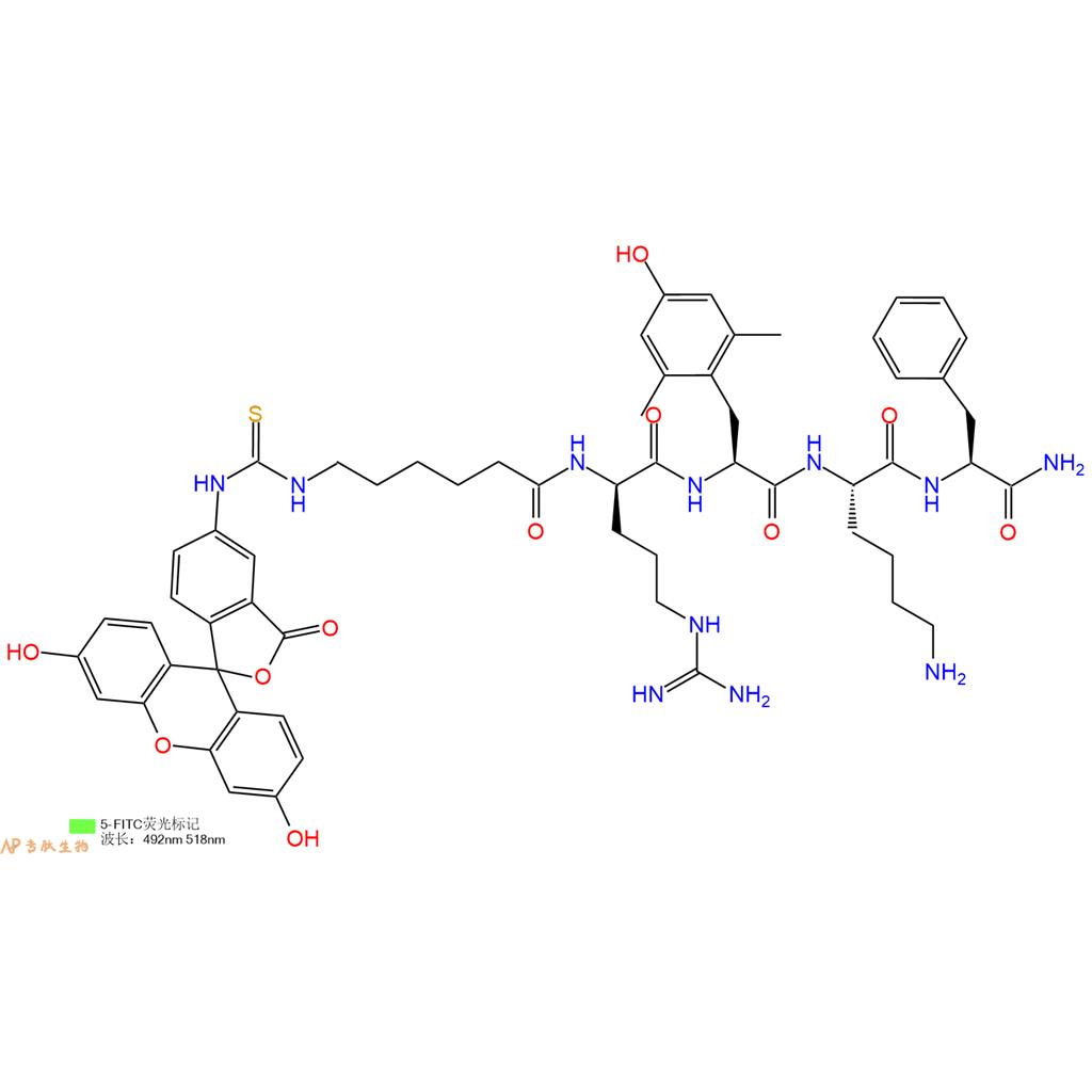 荧光标记线粒体靶向抗氧化剂SS-31