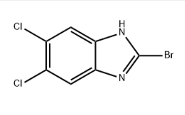 2-溴-5,6-氯-1H-苯并咪唑