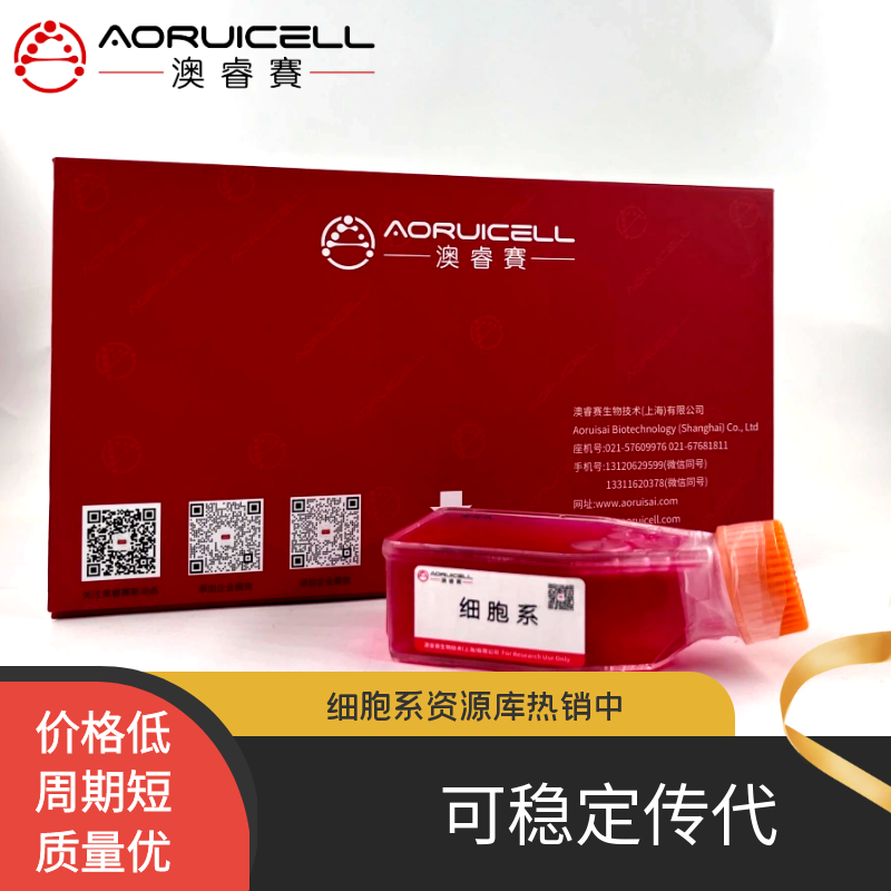 raji-luc细胞过表达CD5基因稳转