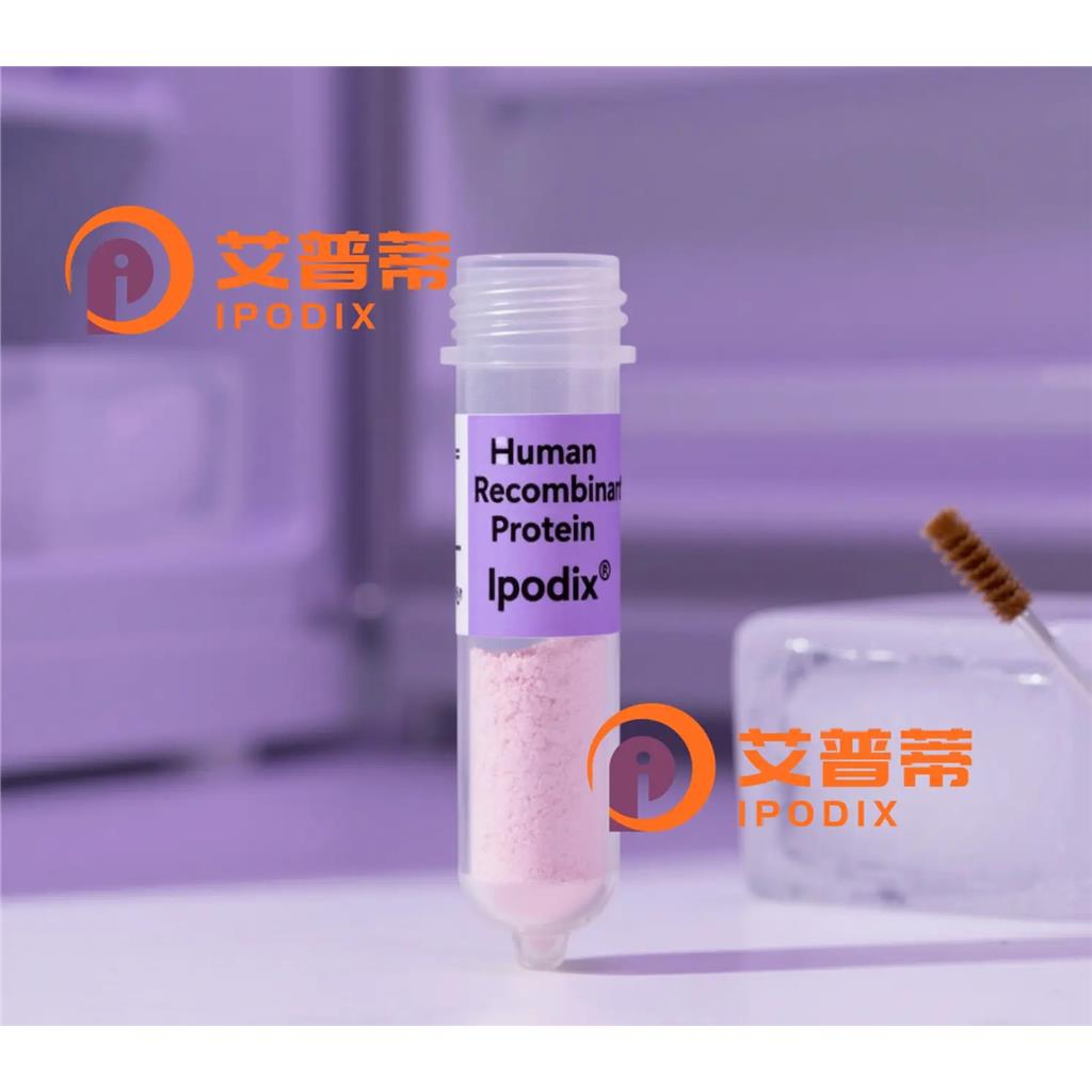 HLA-DQA2抗体—艾普蒂