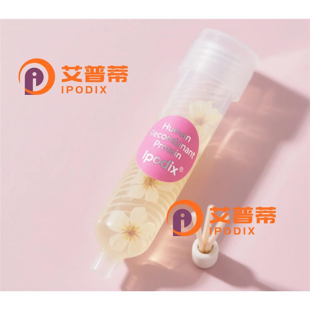 IP6K1抗体—艾普蒂