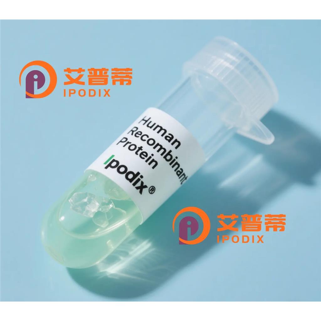 COX7B2抗体—艾普蒂