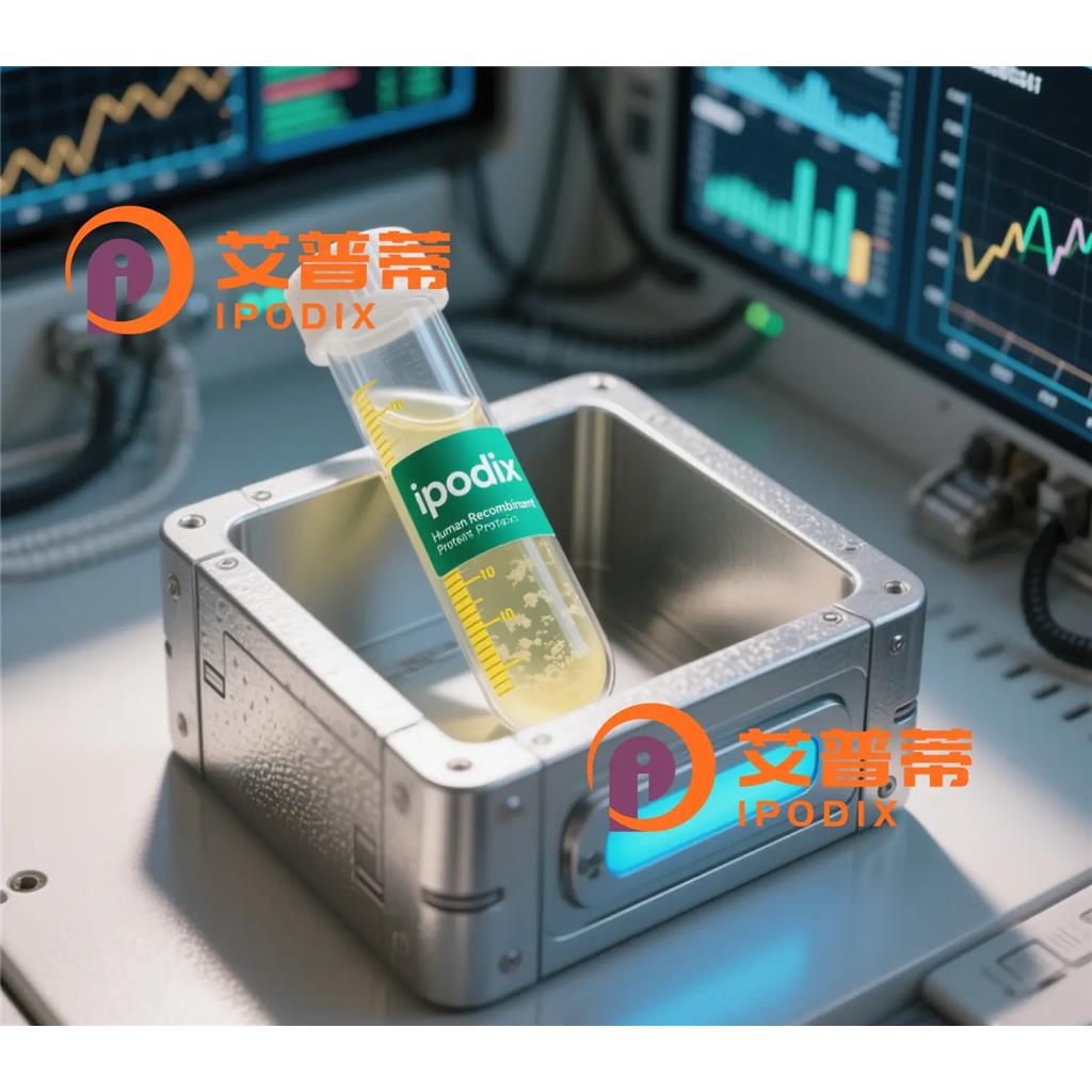 MSR1抗体—艾普蒂