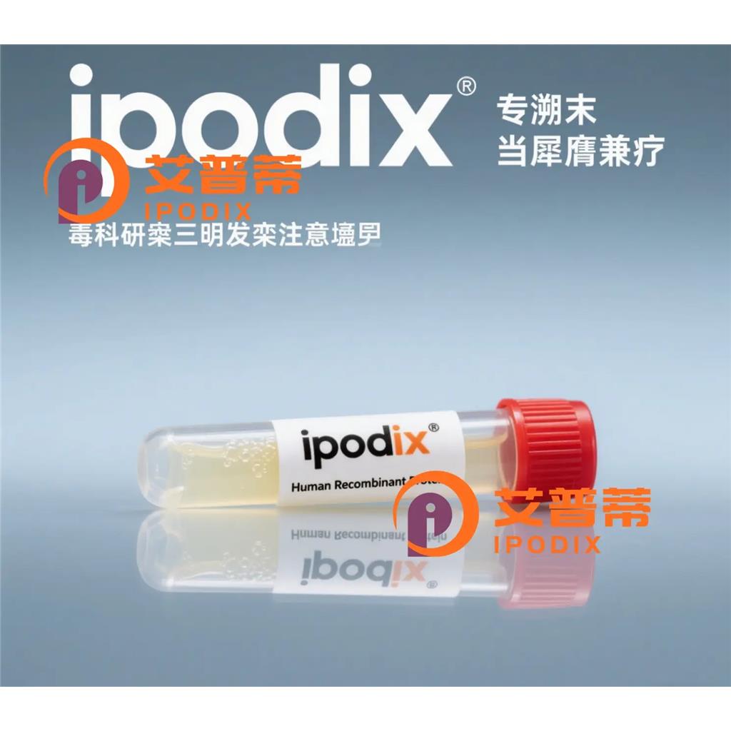 RNF20抗体—艾普蒂