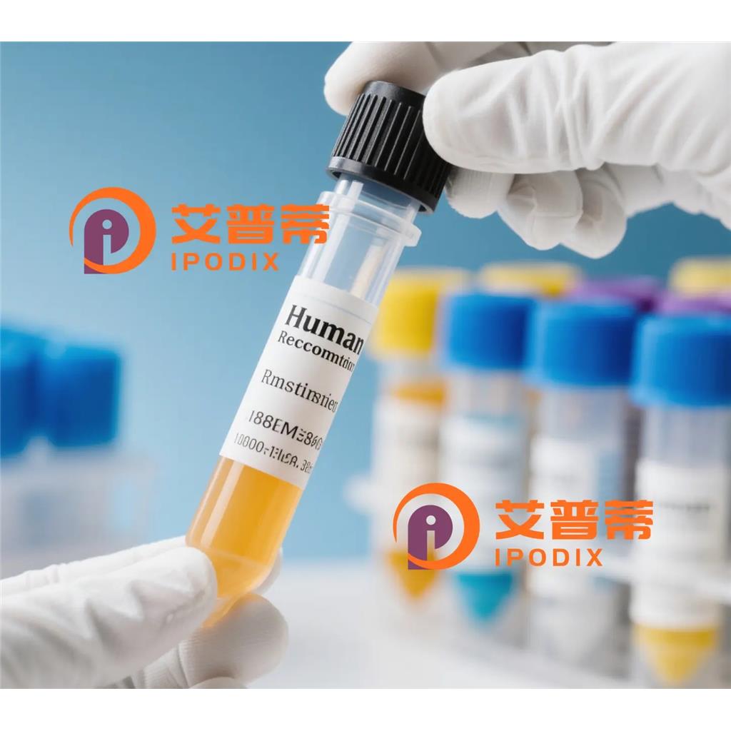 S100PBP抗体—艾普蒂