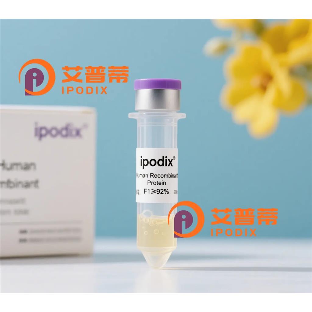TMPRSS11E抗体—艾普蒂