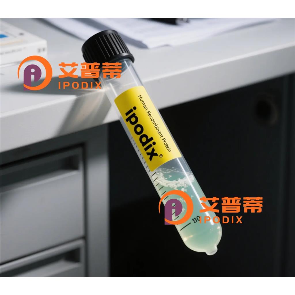 PRSS38抗体—艾普蒂