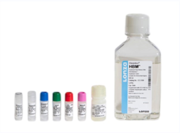 肝细胞培养基套装（或肝细胞培养试剂盒）