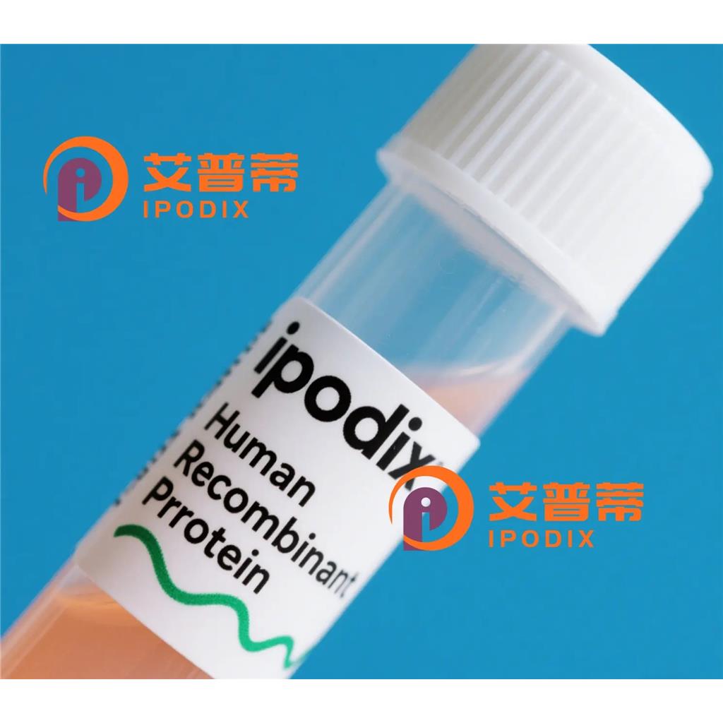 CSRP3抗体—艾普蒂