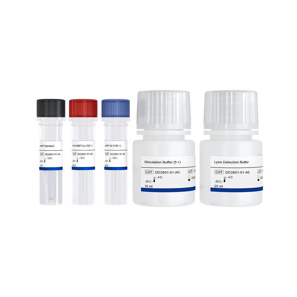 Add&Read? cAMP Detection Kit