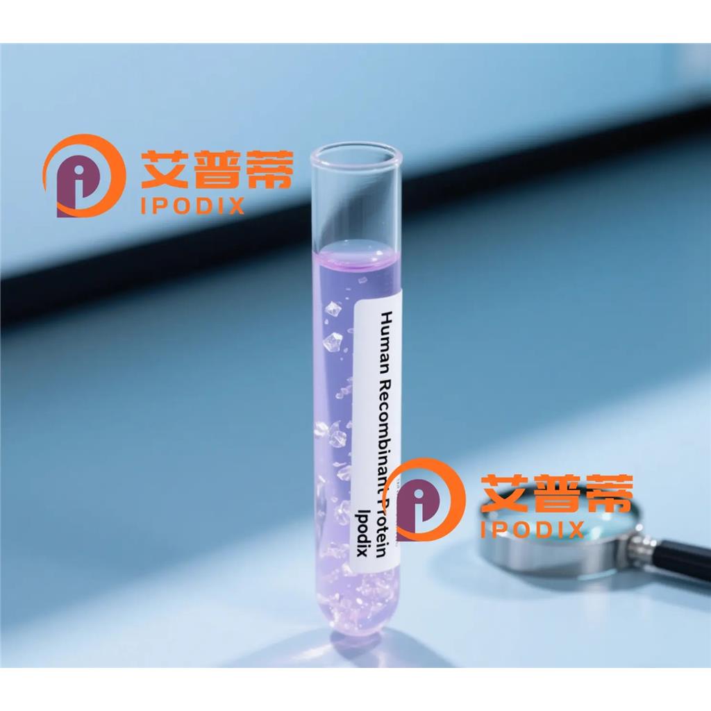 ZPBP2抗体—艾普蒂