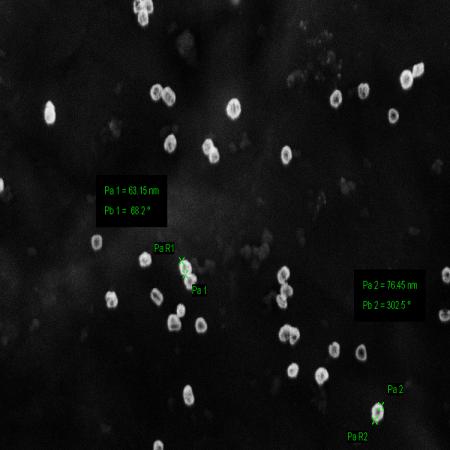 新型纳米材料设计、制备和表征（纳米材料定制服务）