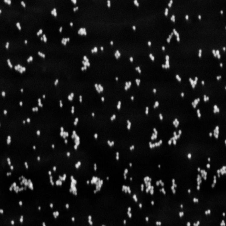 新型纳米材料设计、制备和表征（纳米材料定制服务）