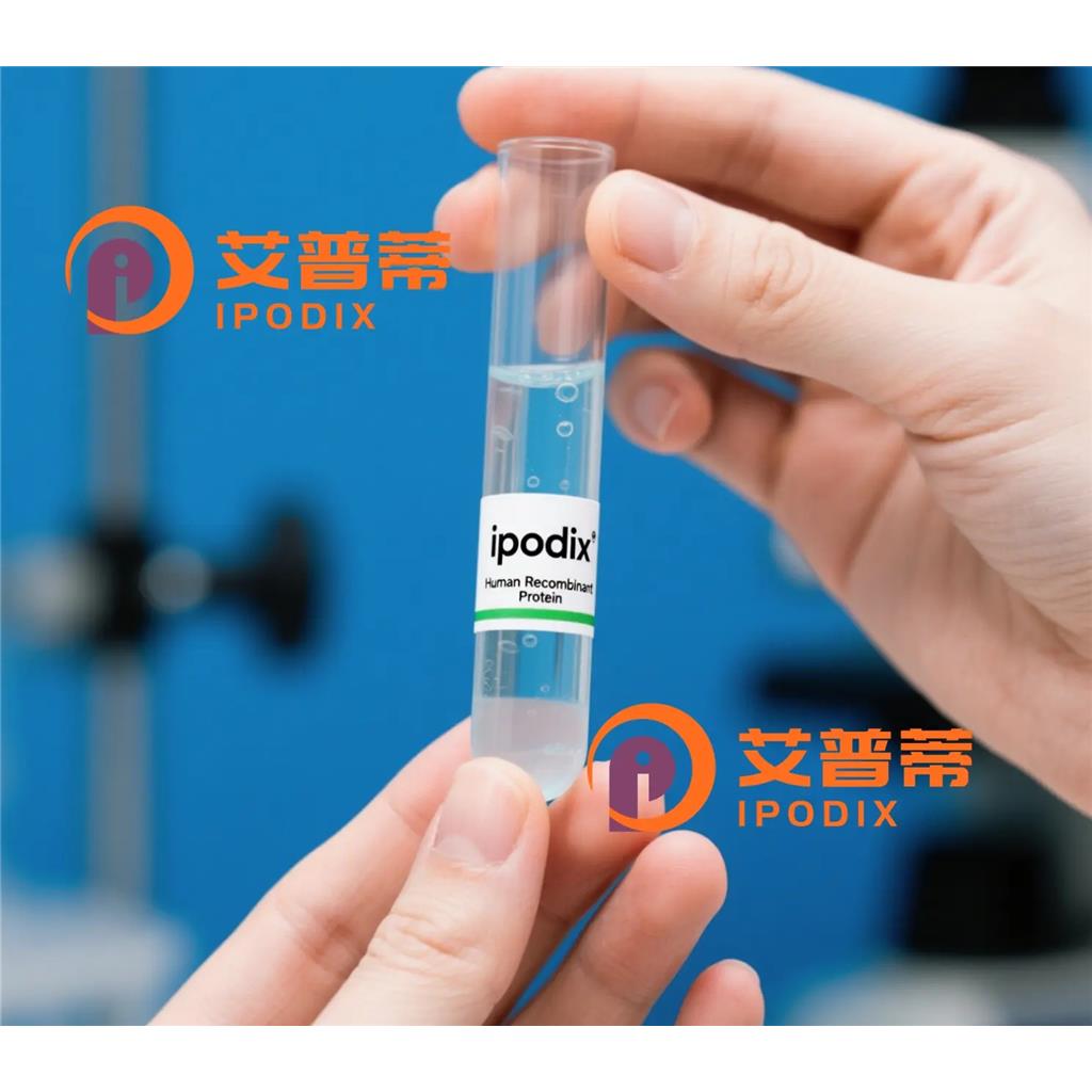 CDC45抗体—艾普蒂