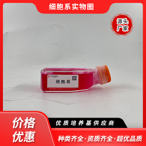 NCI-H838-luc（人肺癌细胞（包括非小细胞肺癌）（luc标记））