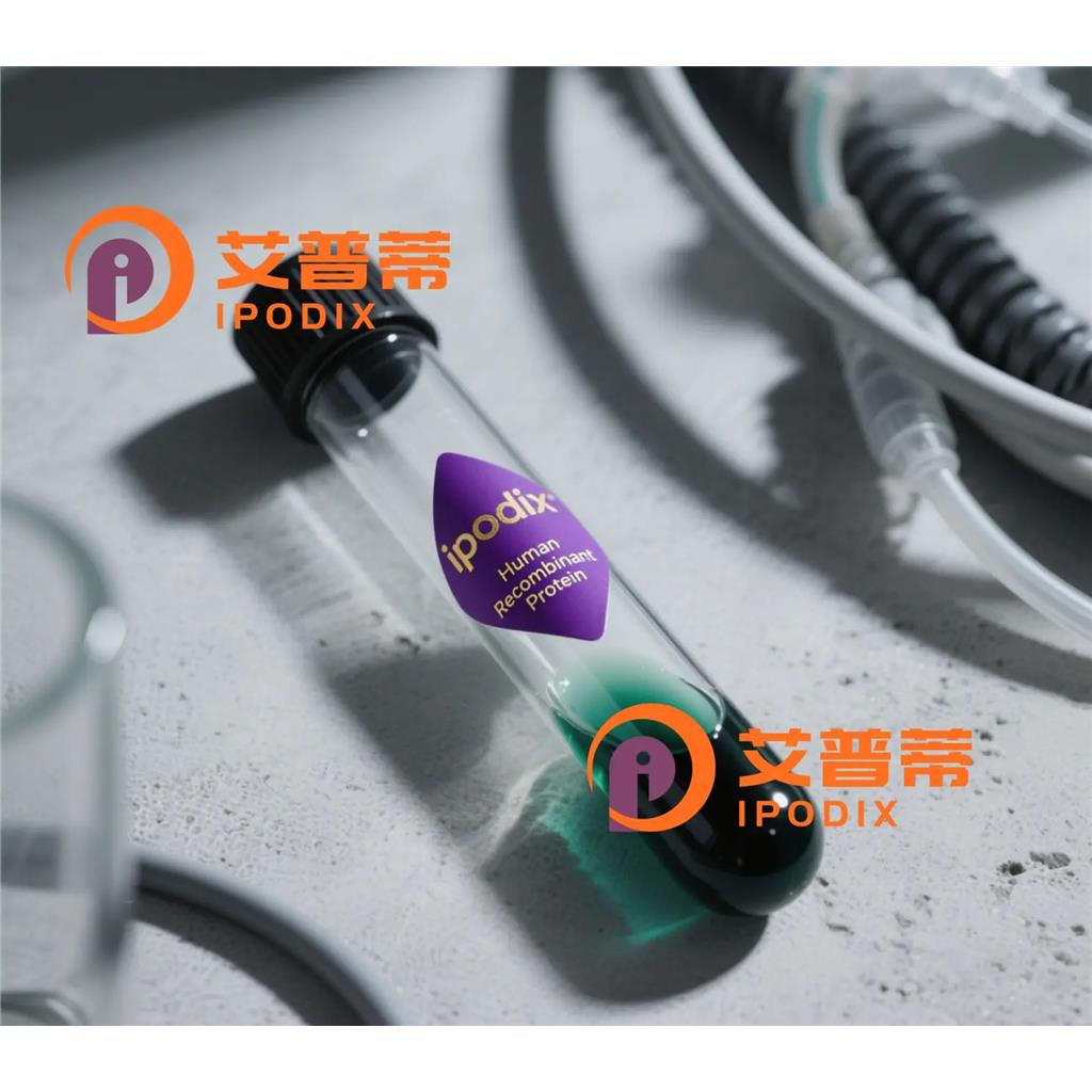 CPNE8抗体—艾普蒂