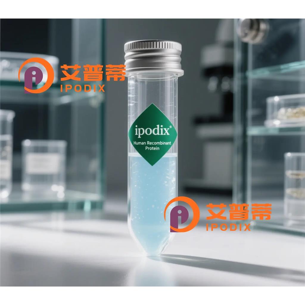 DDI2抗体—艾普蒂