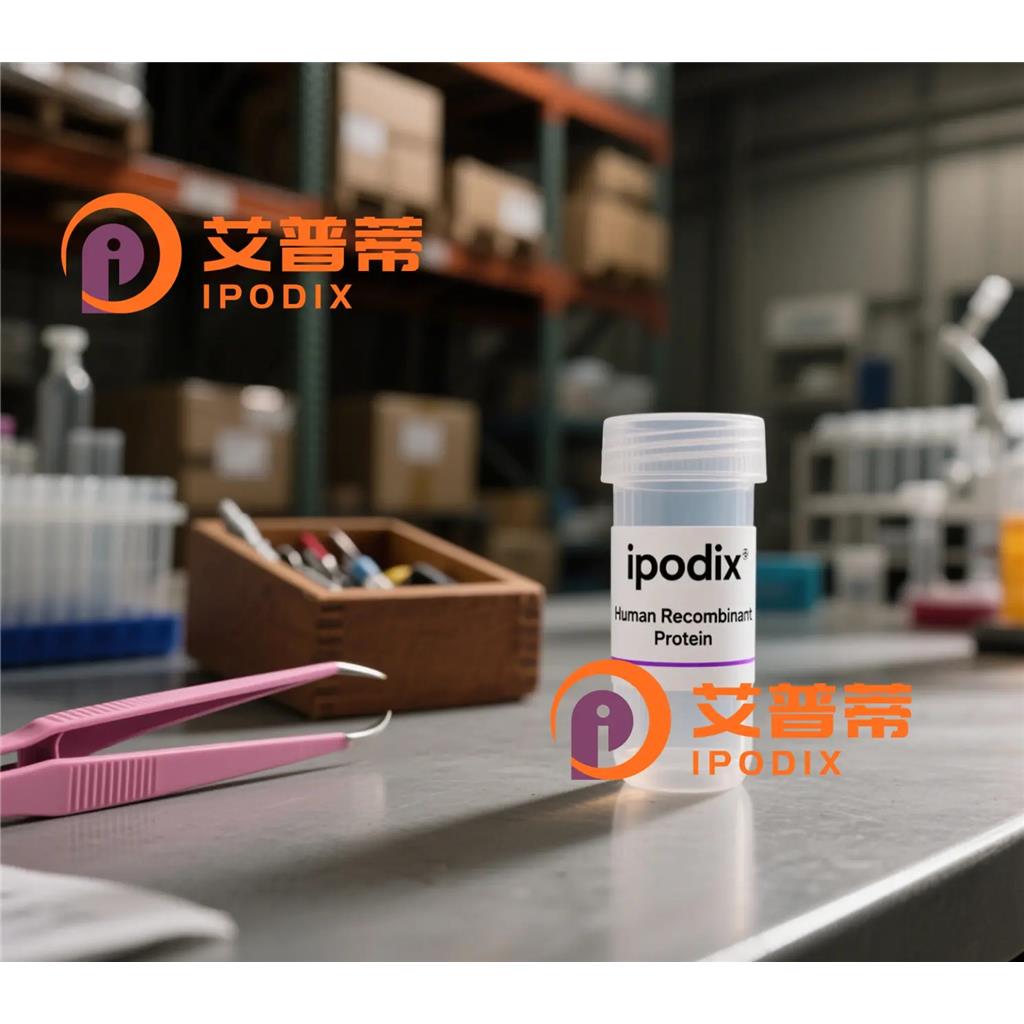 PFDN2抗体—艾普蒂