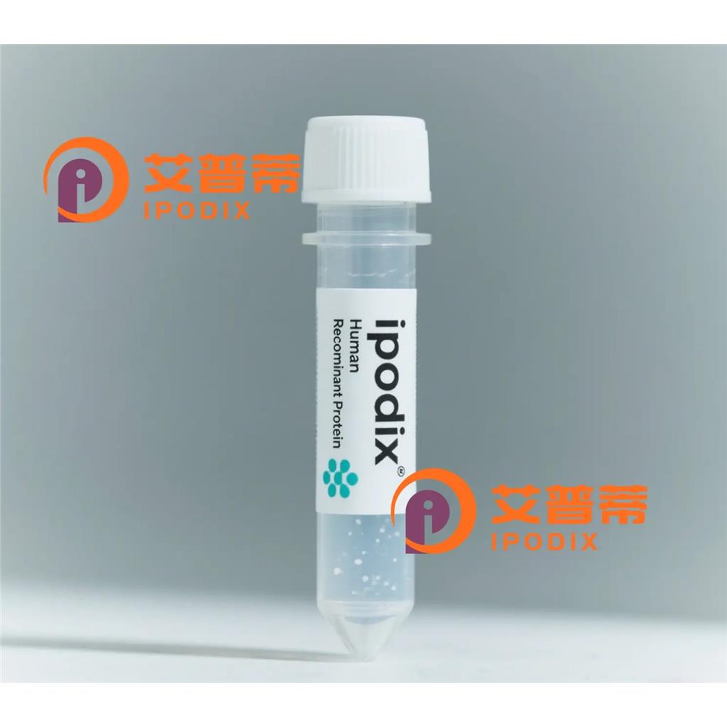 FUNDC2抗体—艾普蒂