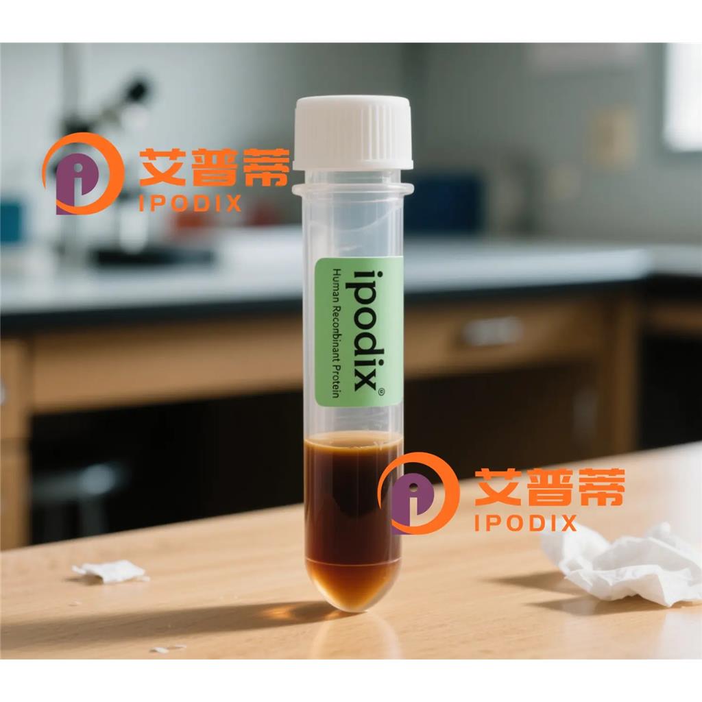 IQSEC1抗体—艾普蒂