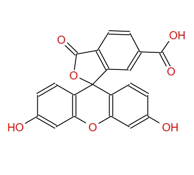 6-羧基荧光素