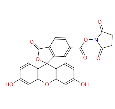 6-羧基荧光素琥珀酰亚胺醚