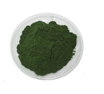 小球藻粉,蛋白含量60%,小球藻提取物,食品级,饲料级