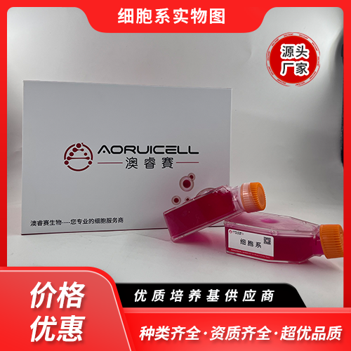 BRL-GFP（大鼠肝细胞（GFP标记））