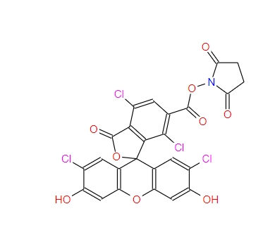 6-羧基-2',4,7,7'-四氯荧光素琥珀酰亚胺酯