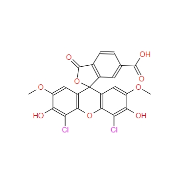 6-羧基-4',5'-二氯-2',7'-二甲氧基荧光素