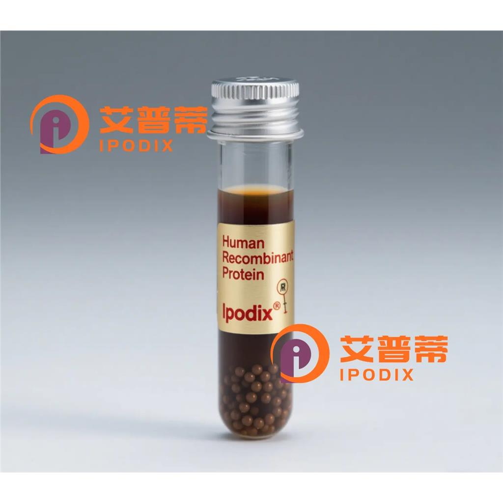 CDH2抗体—艾普蒂