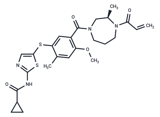 化合物 Soquelitinib|T87429|TargetMol