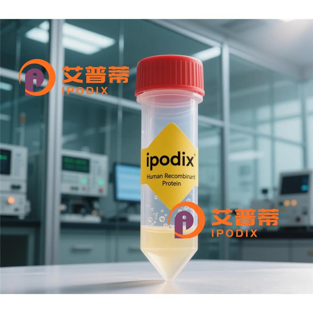 CDC42BPB抗体—艾普蒂