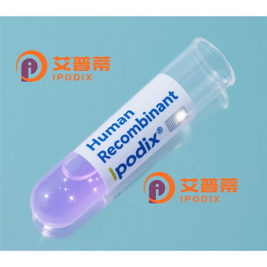 Phospho-PAK1/2/3(S144+S141+S139)抗体—艾普蒂